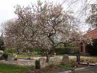 240406 Bovenden Friedhof